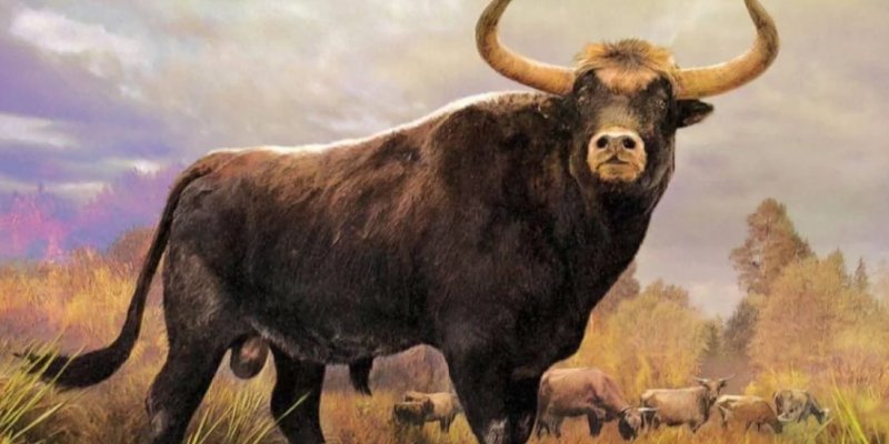 Chapter 1: Primordial Pastures - Campo Meat