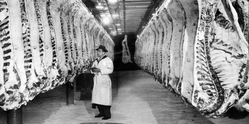 Chapter 7: The Industrialization of Beef - Campo Meat